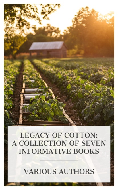 Legacy of Cotton: A Collection of Seven Informative Books