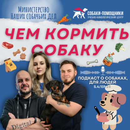 Чем кормить собаку? Подбор рациона. Мифы и недопустимые диеты.