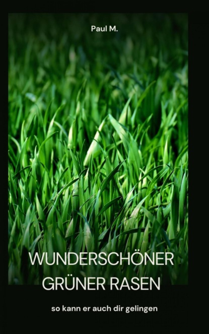 wunderschöner grüner Rasen