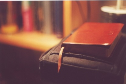 Стефан Цвейг. "Жгучая тайна" (часть 4)