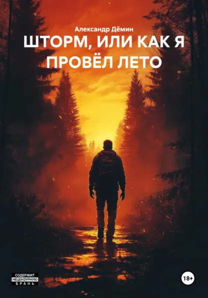 Обложка книги ШТОРМ, ИЛИ КАК Я ПРОВЁЛ ЛЕТО, Александр Дёмин