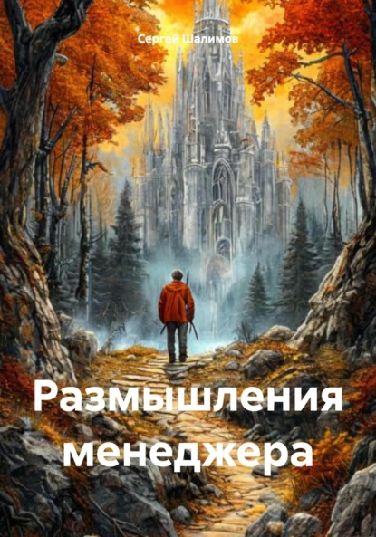 

Размышления менеджера