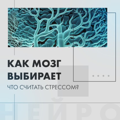 Как мозг выбирает. что считать стрессом