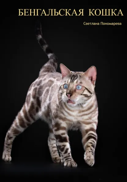 Обложка книги Бенгальская кошка, Светлана Борисовна Пономарева