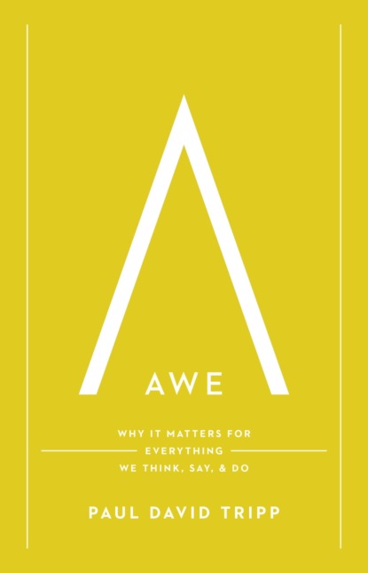 Awe (with Study Questions)