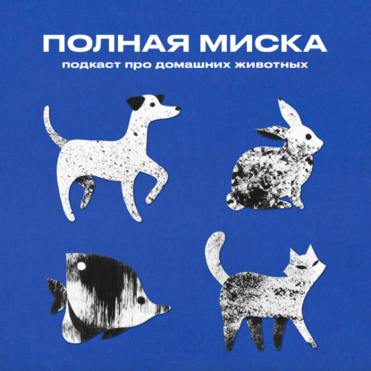 Полная миска | Птицы в городе