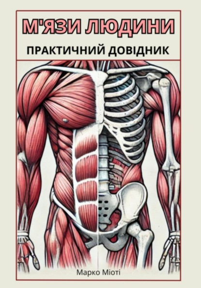 

М'язи людини. Практичний довідник