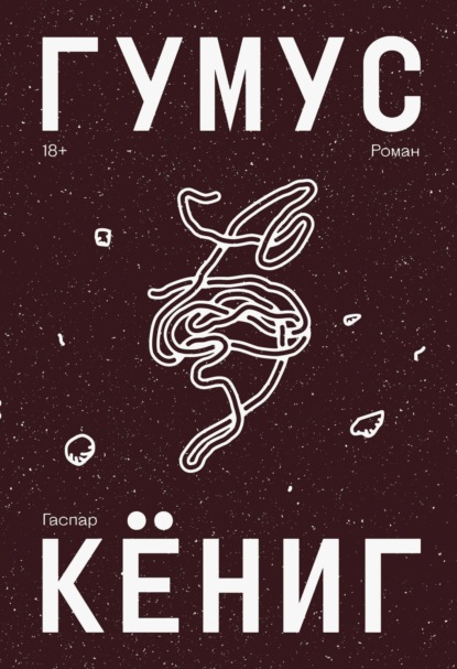 Гумус