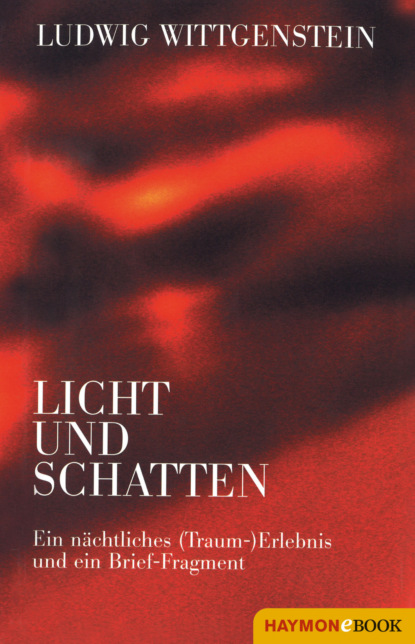 Ludwig Wittgenstein - Licht und Schatten