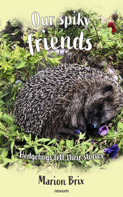 Our spiky friends