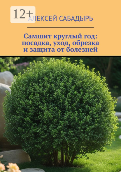 

Самшит круглый год: посадка, уход, обрезка и защита от болезней