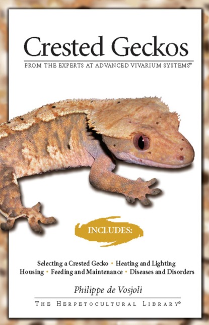 Crested Geckos