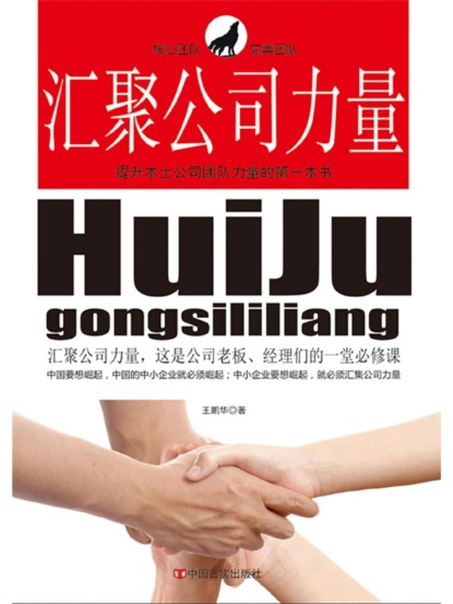汇聚公司力量：提升本土公司团队力量的第一本书