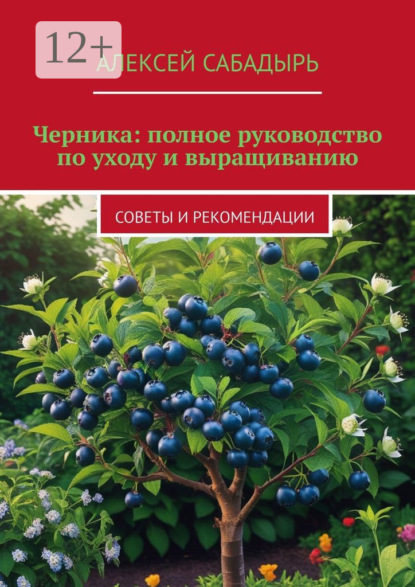 

Черника: полное руководство по уходу и выращиванию. Советы и рекомендации