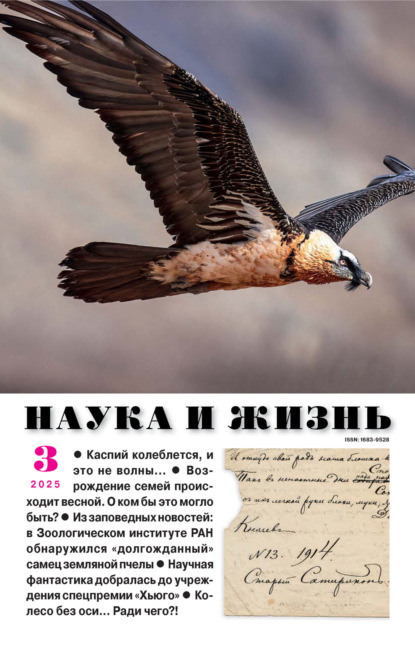 Наука и жизнь №03/2025