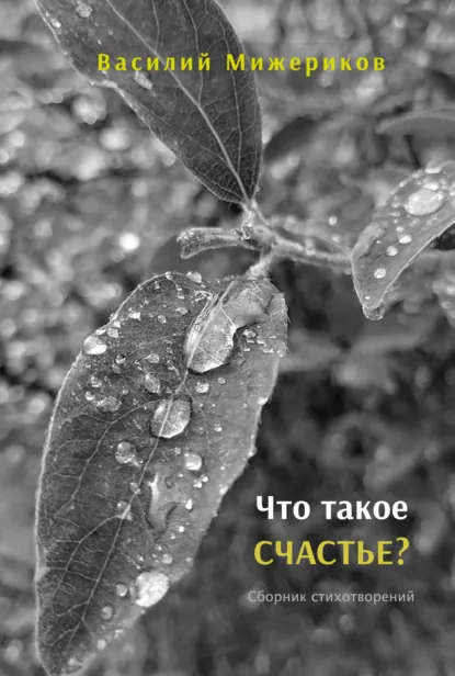 Обложка книги Что такое счастье?, Василий Мижериков