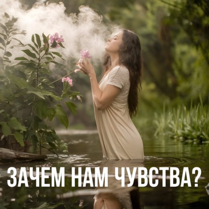 Чувства и логика: как быть собой в этом мире