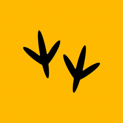 Владимир Силютин: актерская деятельность, «серый» маркетинг и почему телефоны нас убивают