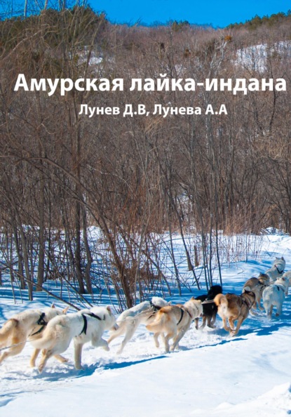 Амурская лайка-индана