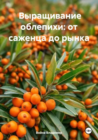 Обложка книги Выращивание облепихи: от саженца до рынка, Война Владимирович Владимир