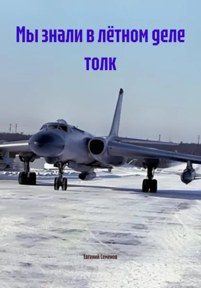 Обложка книги Мы знали в лётном деле толк, Евгений Михайлович Семенов