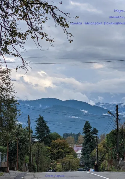 Обложка книги Море, хинкали, шпага Наполеона Бонапарта, Ольга Ларина