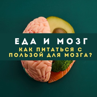 Еда и мозг: как питаться с пользой для мозга?