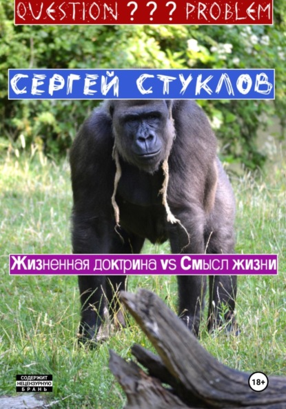 

Жизненная доктрина vs Смысл жизни