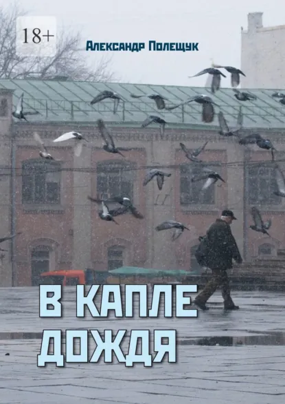 Обложка книги В капле дождя, Александр Полещук