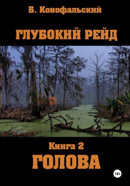 

Глубокий рейд, книга 2 «Голова»