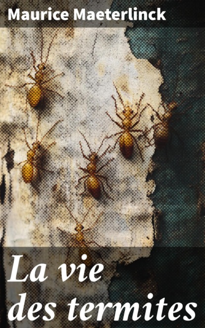 Do you believe in fairies?