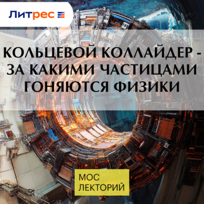 

Кольцевой коллайдер - за какими частицами гоняются физики