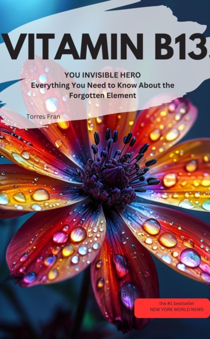 VITAMIN B13 orotic acid YOU INVISIBLE HERO  Everything You Need to Know About the Forgotten Element