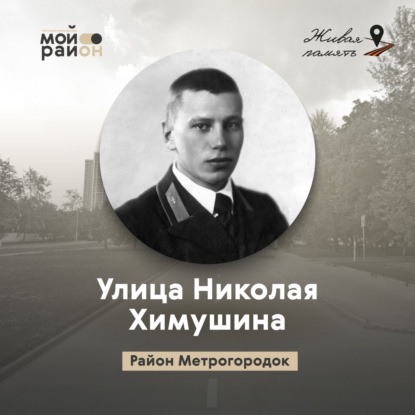 Улица Николая Химушина (район Метрогородок)