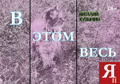 

В этом весь я II