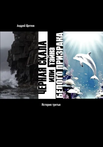 Обложка книги Чёрная Скала или тайна Белого Странника: история третья, Андрей Иванович Щеглов