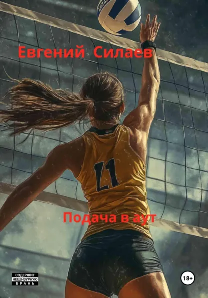 Обложка книги Подача в аут, Евгений Андреевич Силаев