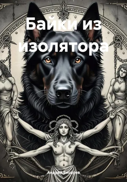 Обложка книги Байки из изолятора, Андрей Егорович Бисарев