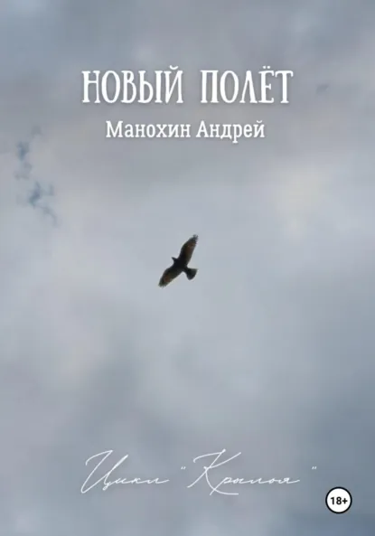 Обложка книги Новый полёт, Андрей Сергеевич Манохин