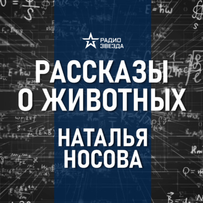 Зачем пиявке три челюсти? Лекция биолога Натальи Носовой