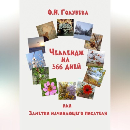 

ЧЕЛЛЕНДЖ на 366 ДНЕЙ или Заметки начинающего писателя