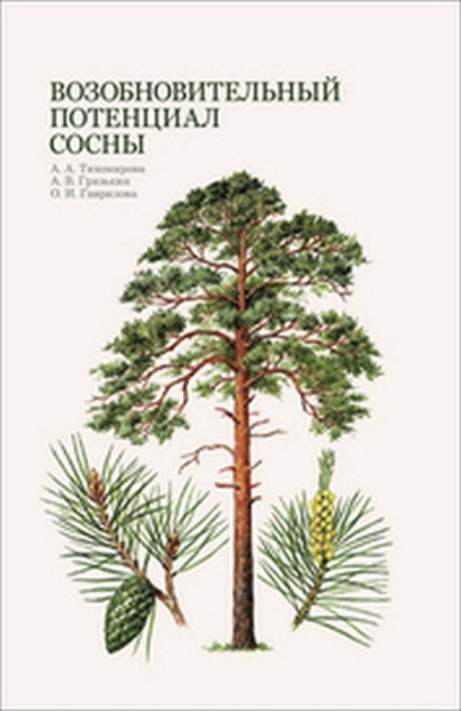 

Возобновительный потенциал сосны