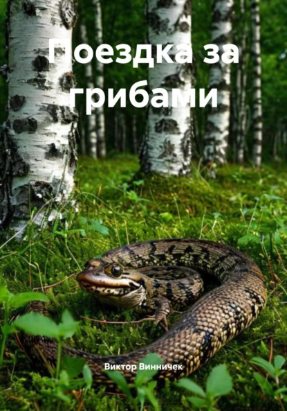 

Поездка за грибами