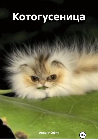 

Котогусеница