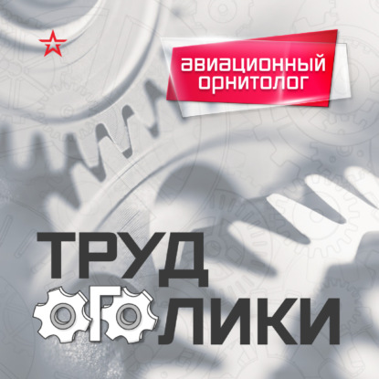 Профессия: авиационный орнитолог