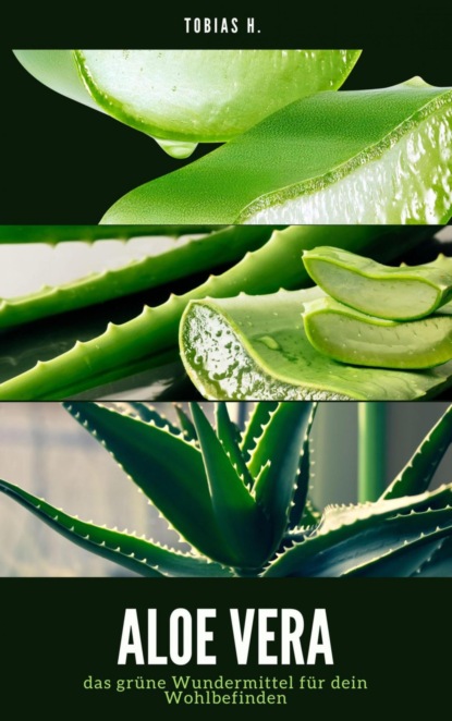 Aloe Vera - das grüne Wundermittel für dein Wohlbefinden