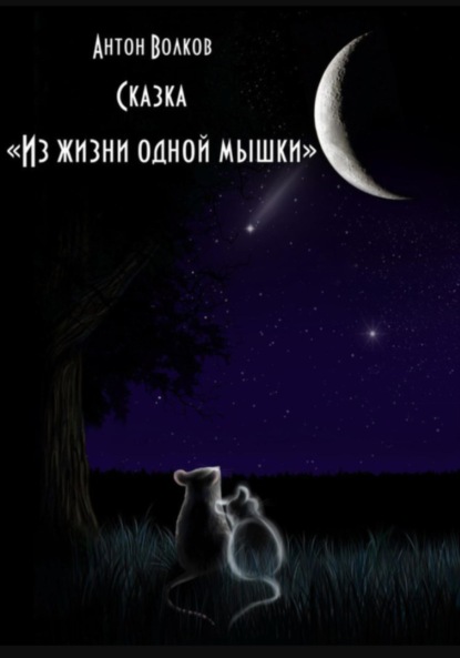 

Из жизни одной мышки