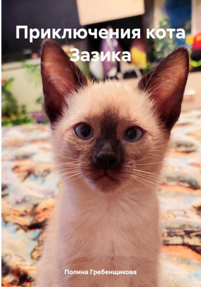 

Приключения кота Зазика