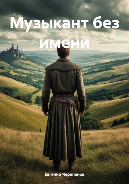 

Музыкант без имени