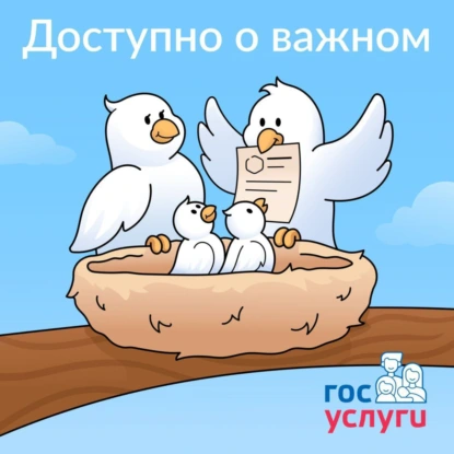 От результатов ЕГЭ до приказов о зачислении: как поступить в вуз онлайн в 2025 году